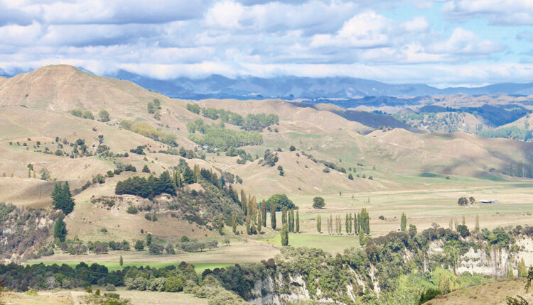 New Zealand Landscape