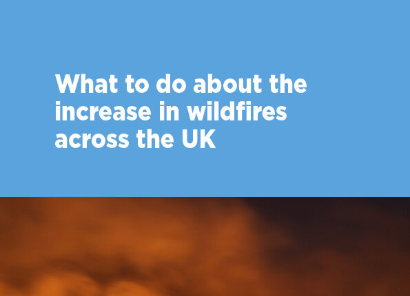 FK Insights Wildfires White Paper - May